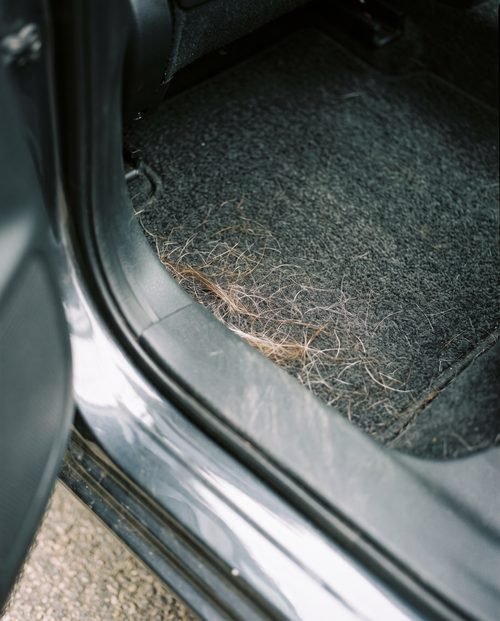 A dark car carpet with a moderate amount of pet hair partly worked into the pile.